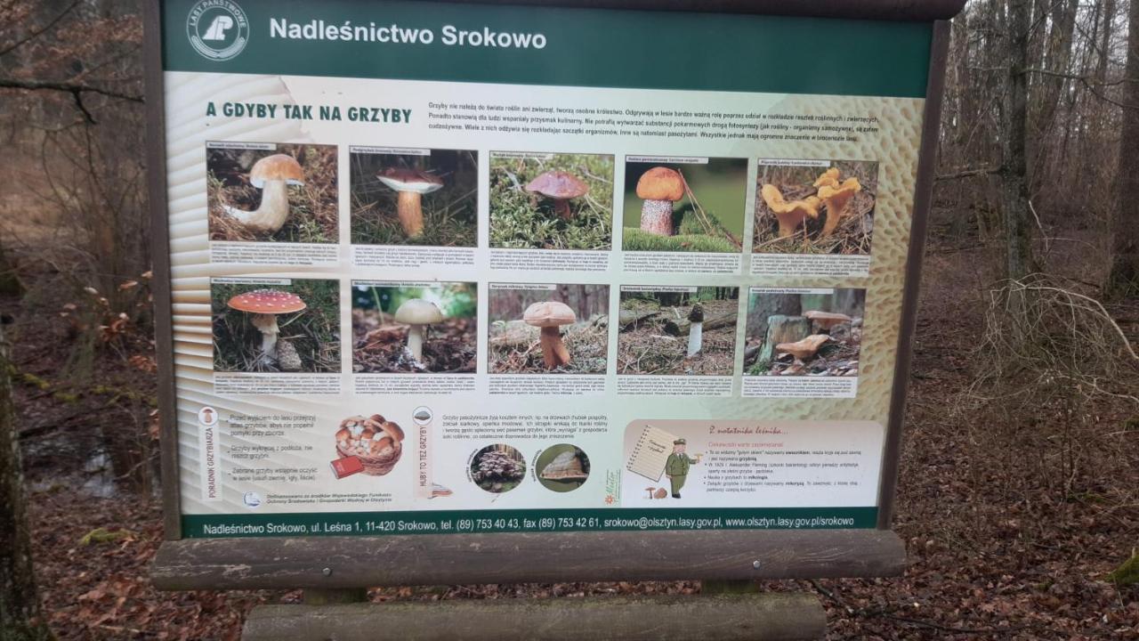 Vila Zacisze Pod Brzozami Kętrzyn Exteriér fotografie
