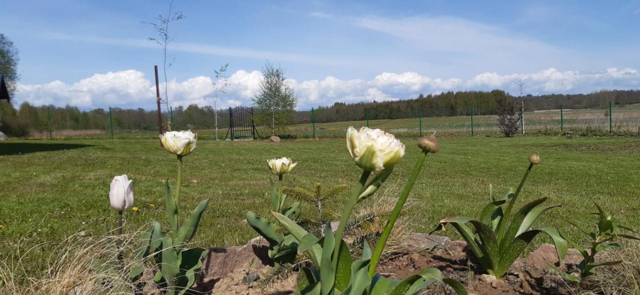 Vila Zacisze Pod Brzozami Kętrzyn Exteriér fotografie