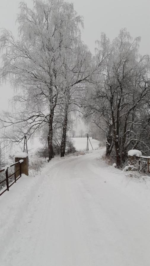 Vila Zacisze Pod Brzozami Kętrzyn Exteriér fotografie