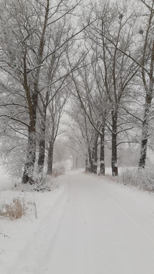 Vila Zacisze Pod Brzozami Kętrzyn Exteriér fotografie